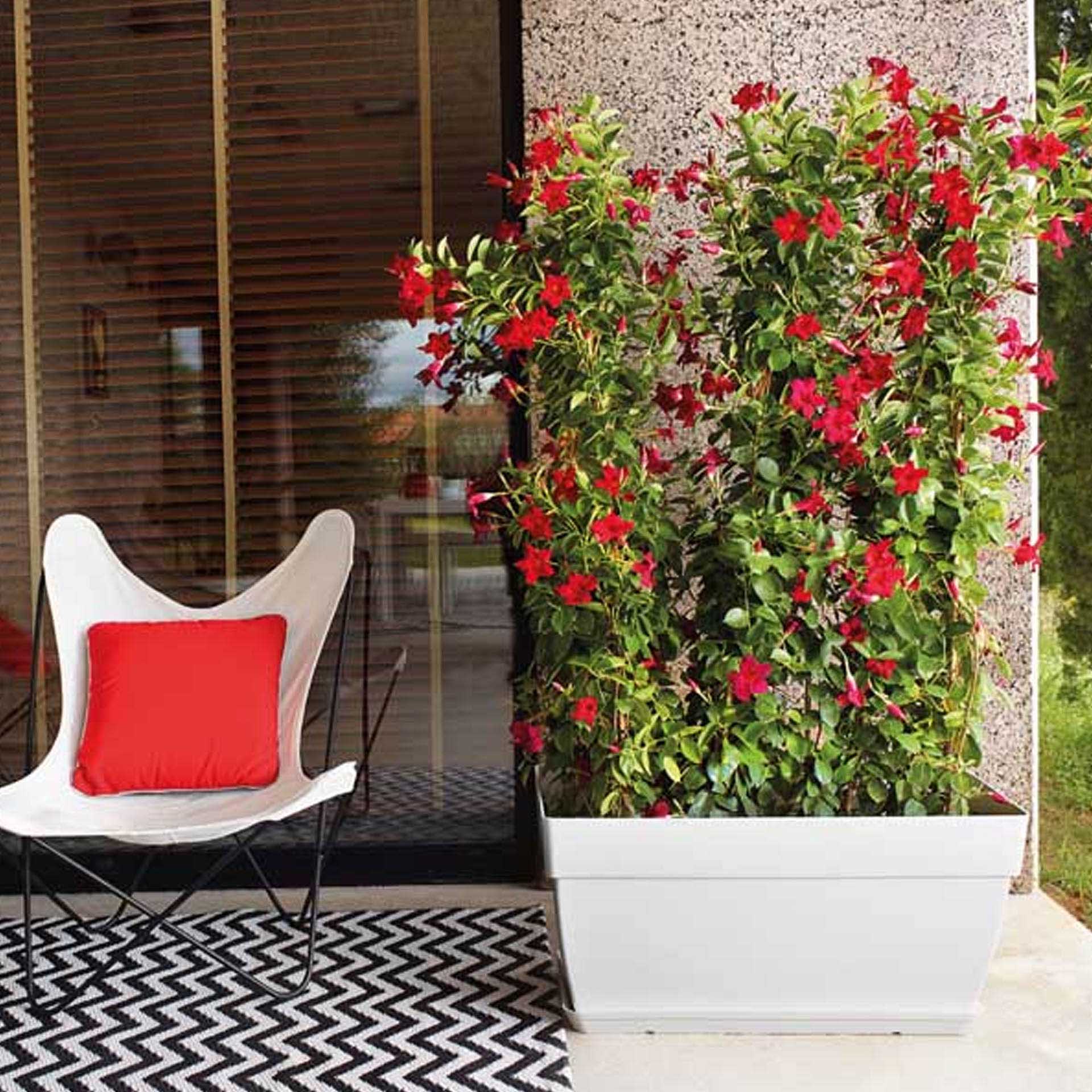 Prato Floreira Capri Xl Retangular 71.5X34X4.5cm Branco