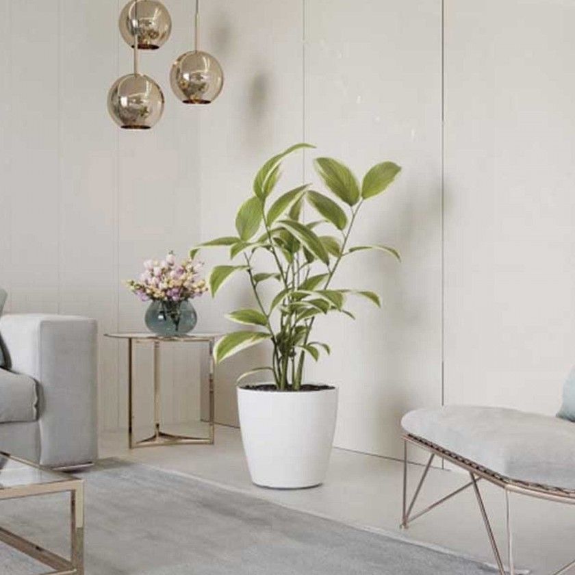 Vaso San Remo Ø20X18cm 4.2L Tortora Brilhante Vaso San Remo Ø20X18cm 4.2L Tortora Brilhante