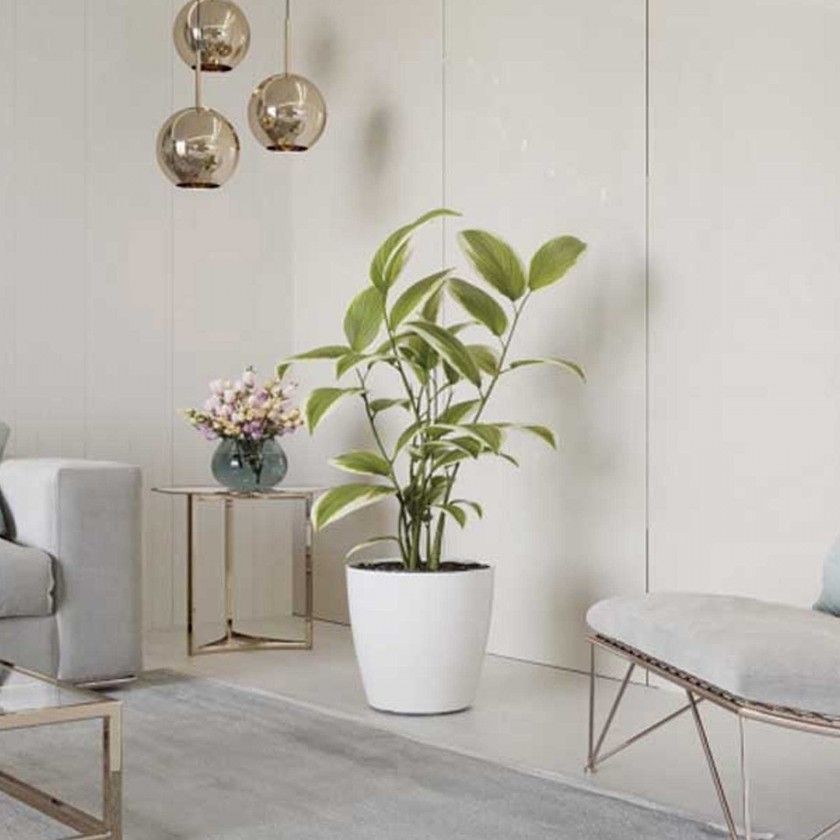 Vaso San Remo Com Rodas 42X39.5cm 42.3L Branco