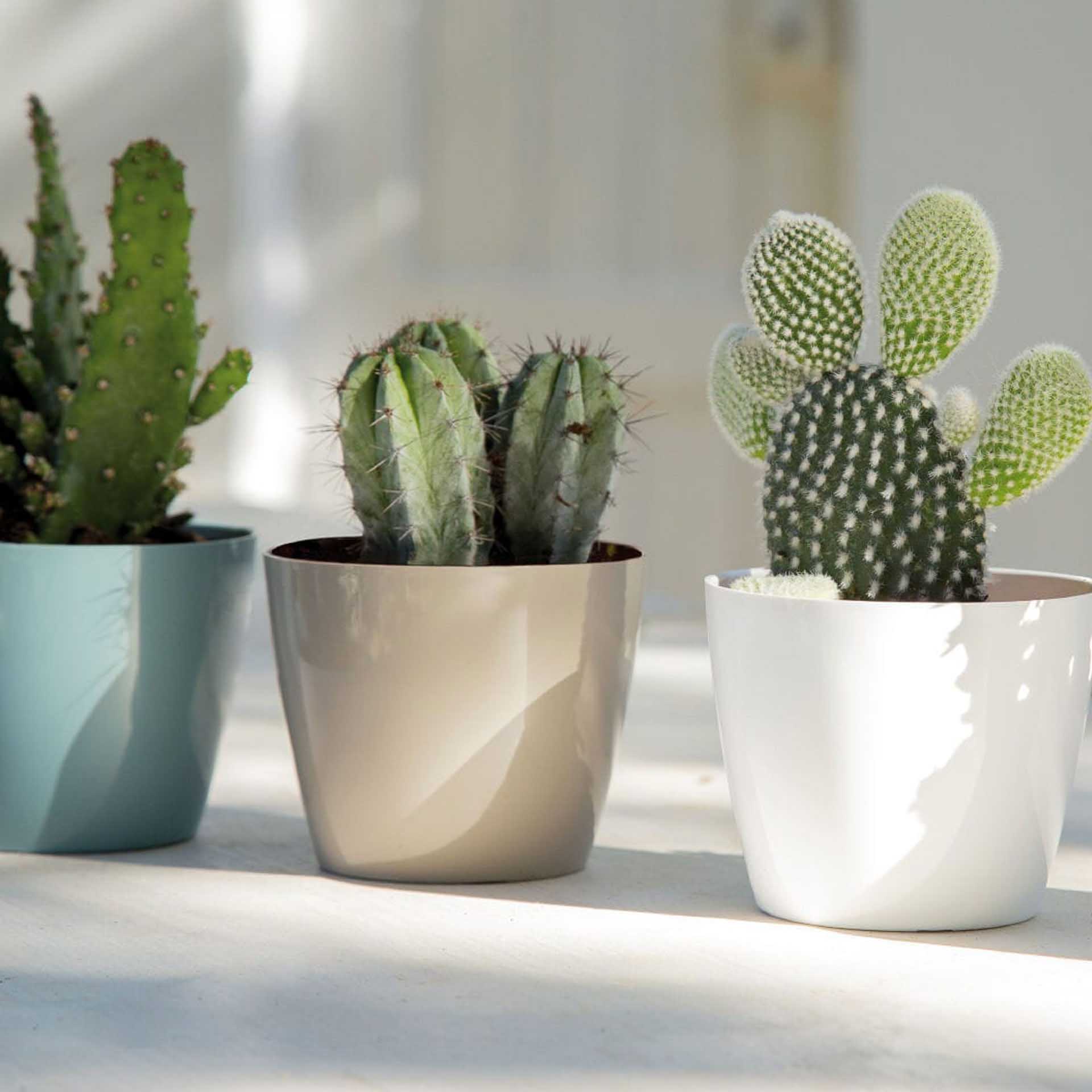 Vaso San Remo Ø14X13cm 1.6L Branco