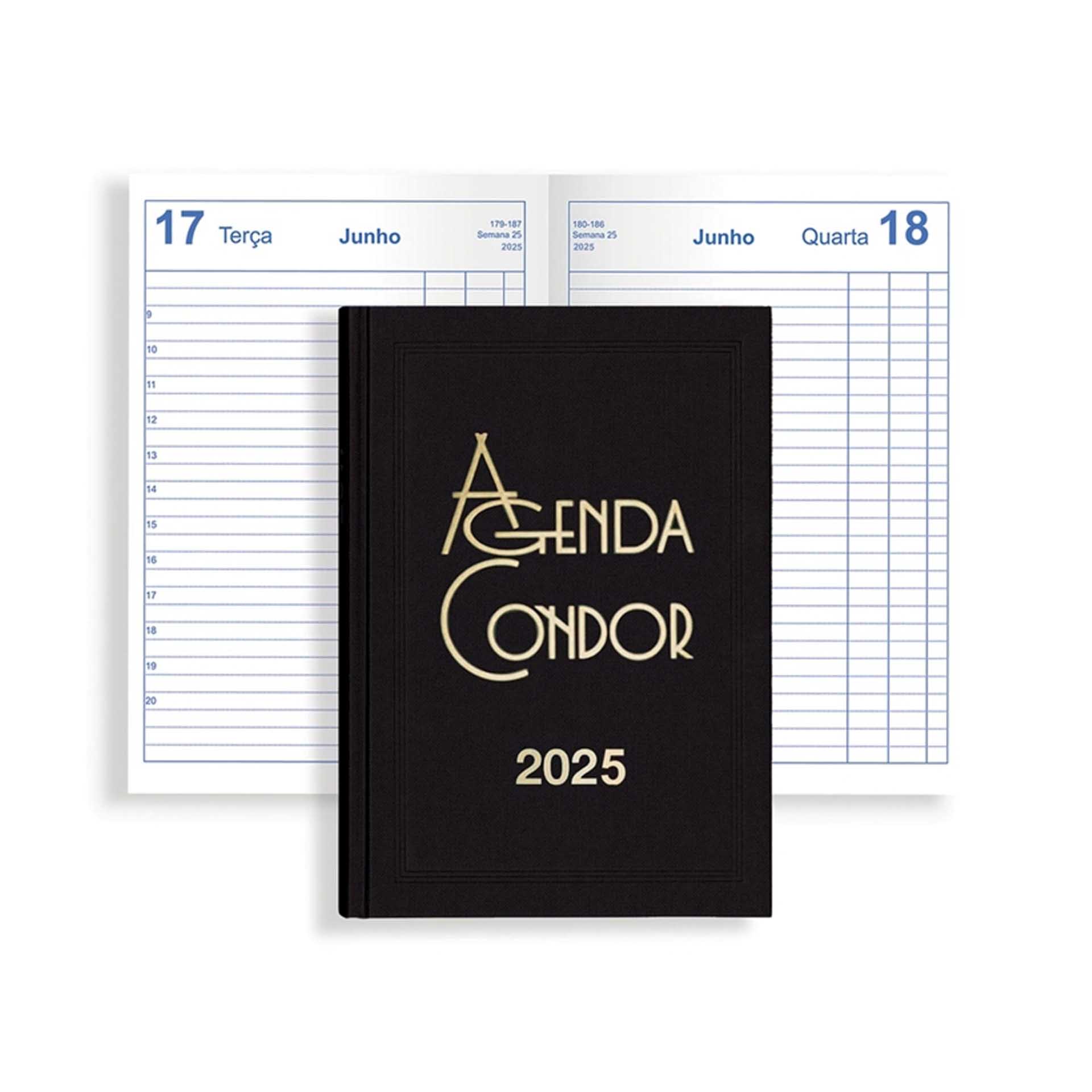 Agenda Diária 2025 Mini Condor Preto 10X16cm