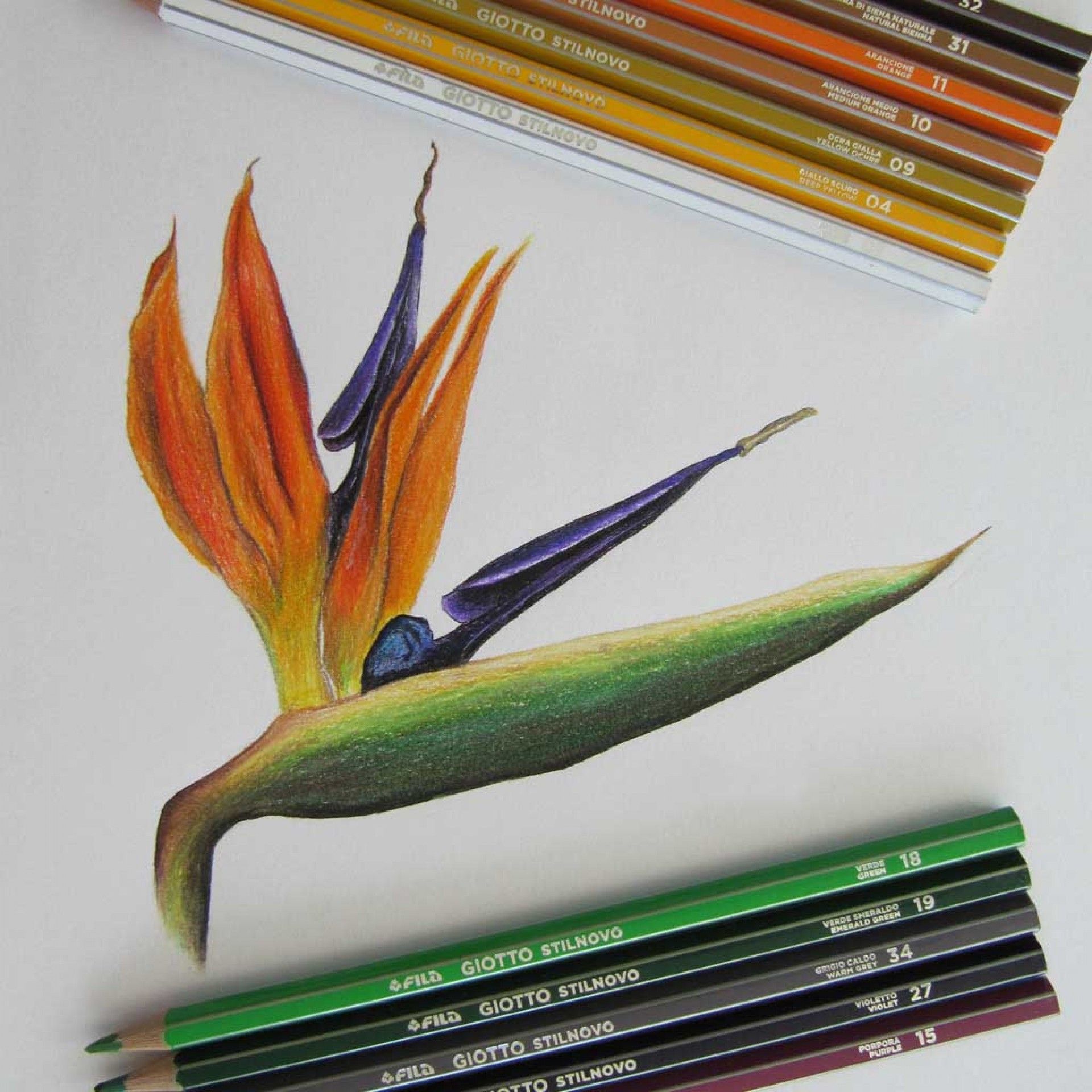 Lápis Cor Giotto Stilnovo 3.3mm 24 Cores