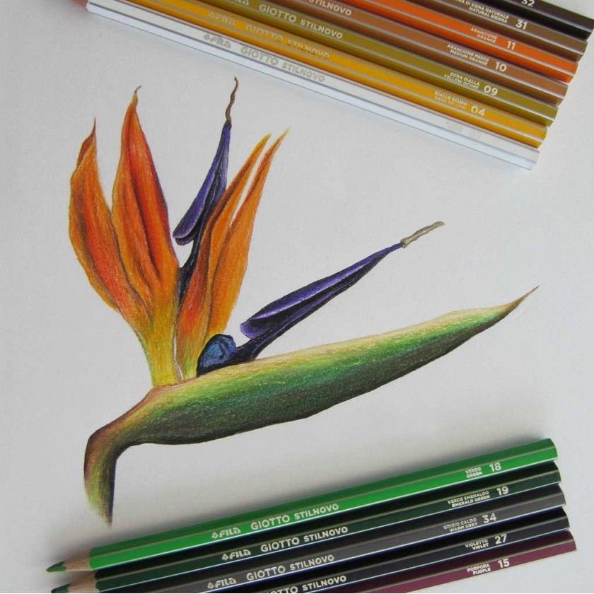 Lápis Cor Giotto Stilnovo 3.3mm 24 Cores Lápis Cor Giotto Stilnovo 3.3mm 24 Cores