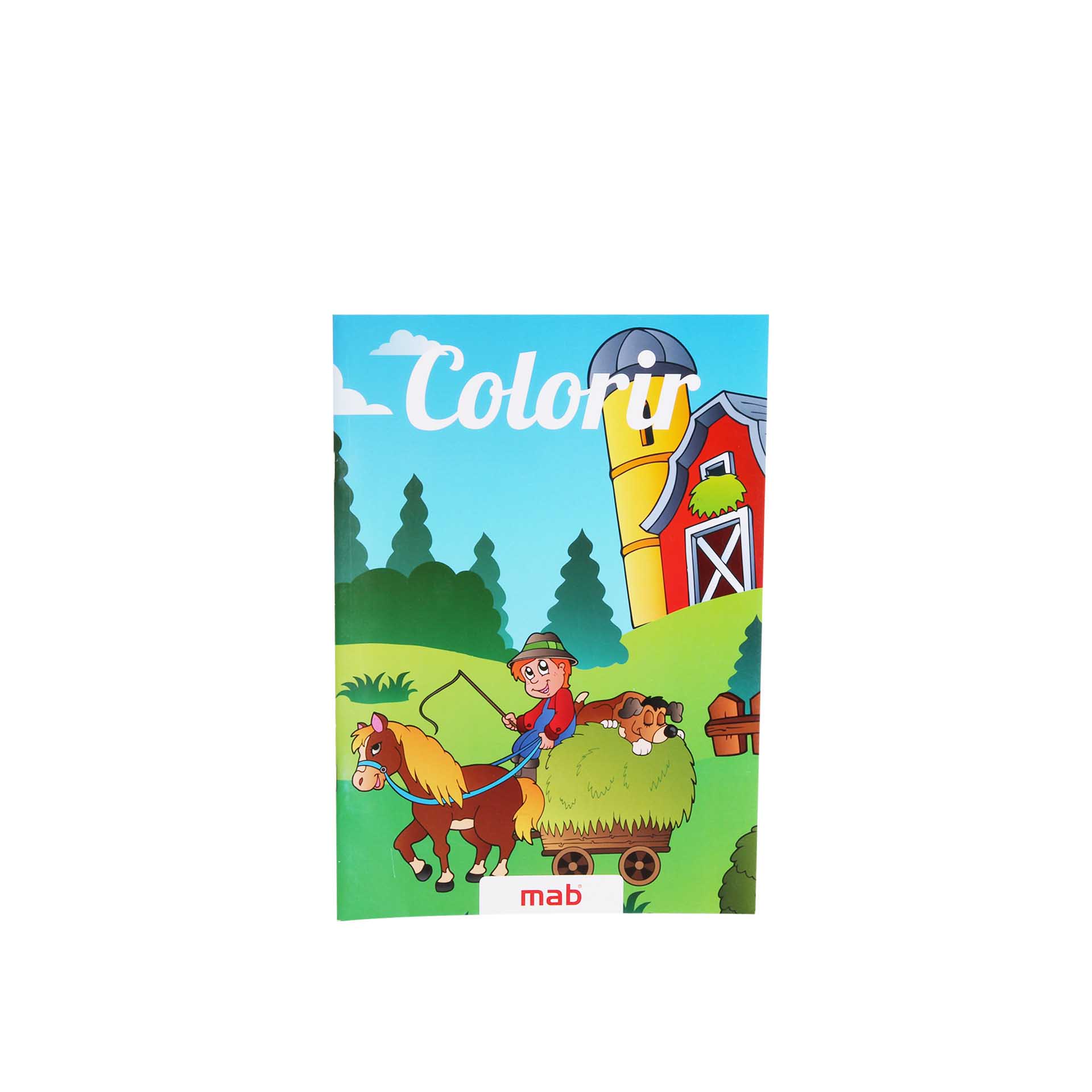 Livro Colorir na Quinta