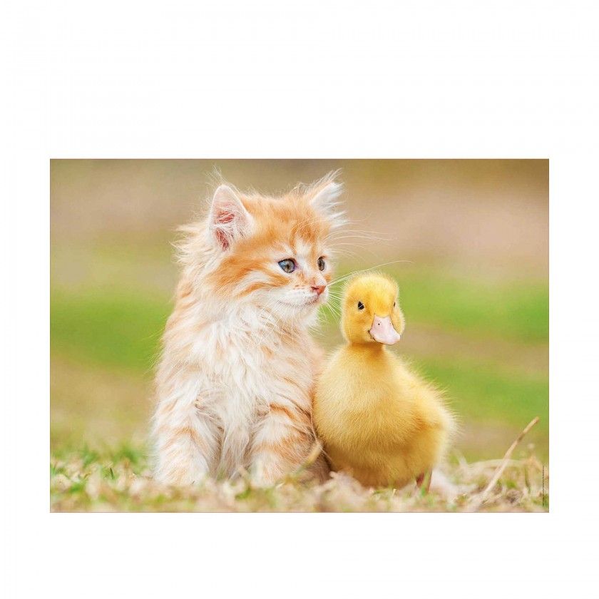 Puzzle Educa 500 Peas Amigos Adoraveis