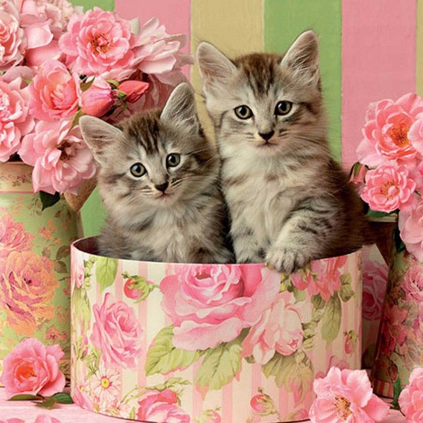 Puzzle Educa 500 Peças Gatinhos Com Rosas Puzzle Educa 500 Peças Gatinhos Com Rosas