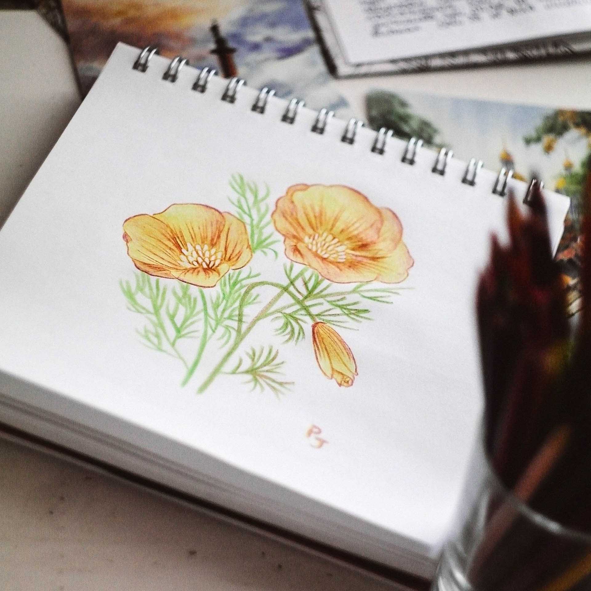 Lápis Cor Maped Strong 12 Cores