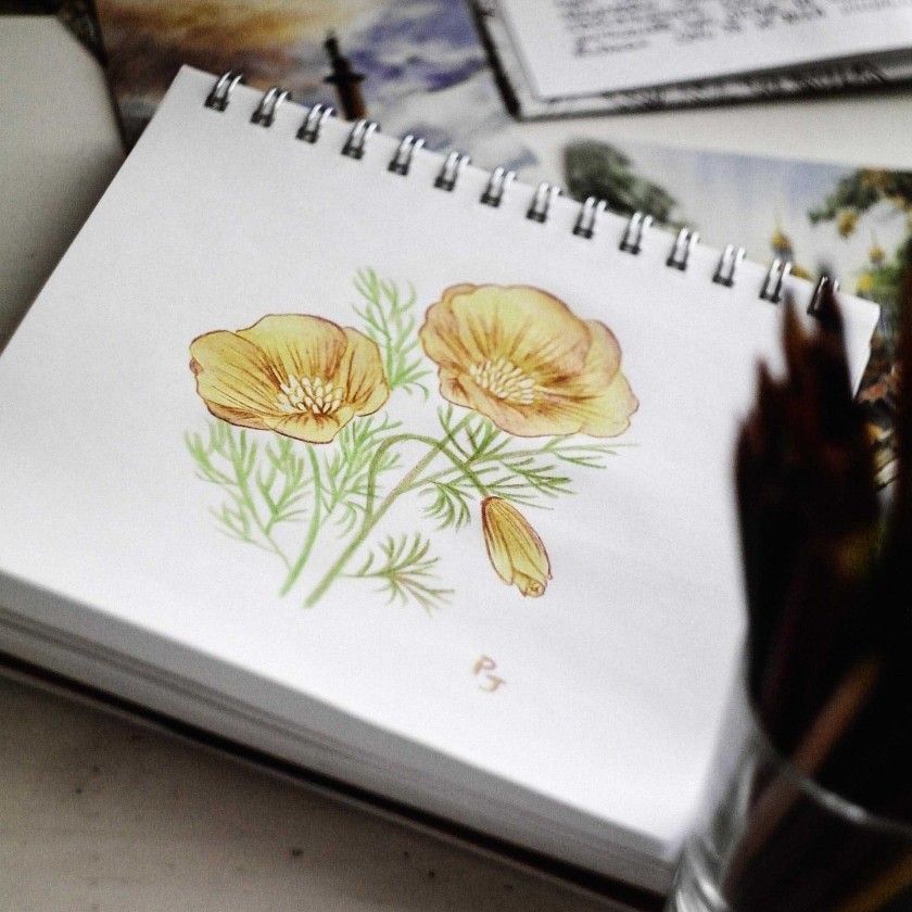 Lápis Cor Maped Color Peps Star 24 Cores 2.9mm Lápis Cor Maped Color Peps Star 24 Cores 2.9mm