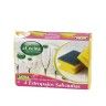 Esfrego Salva Unhas 9X7X4.5cm Pack 4