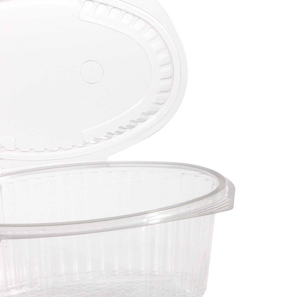 Caixa Take Away 250ml 18X12X4cm Pack 102
