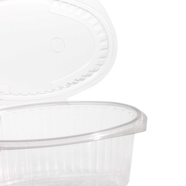 Caixa Take Away 250ml 18X12X4cm Pack 102