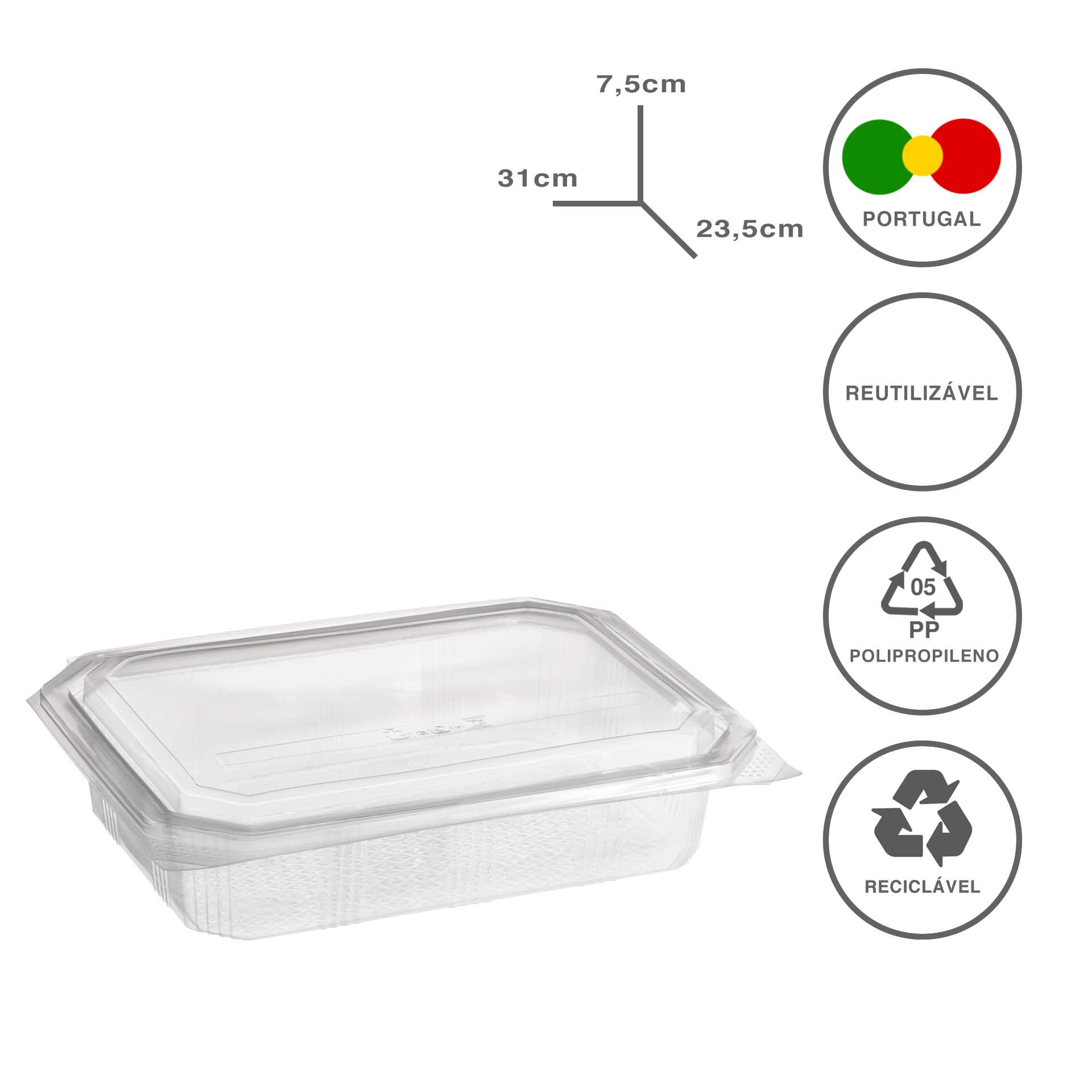 Caixa Take Away 2000ml 31X23.5X7.5cm Pack 40
