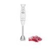 TRISTAR VARINHA INOX 250W MX-4825