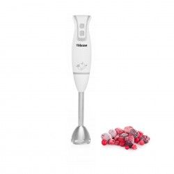 TRISTAR VARINHA INOX 250W MX-4825