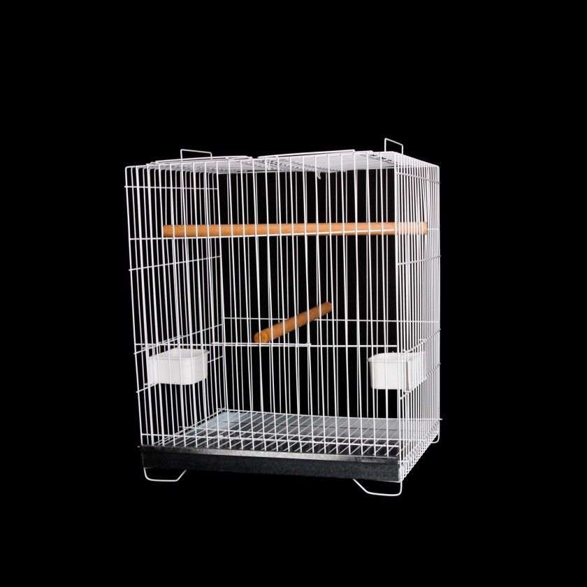 Gaiola Papagaio Quadrada Aberta 40X40X654.5CM