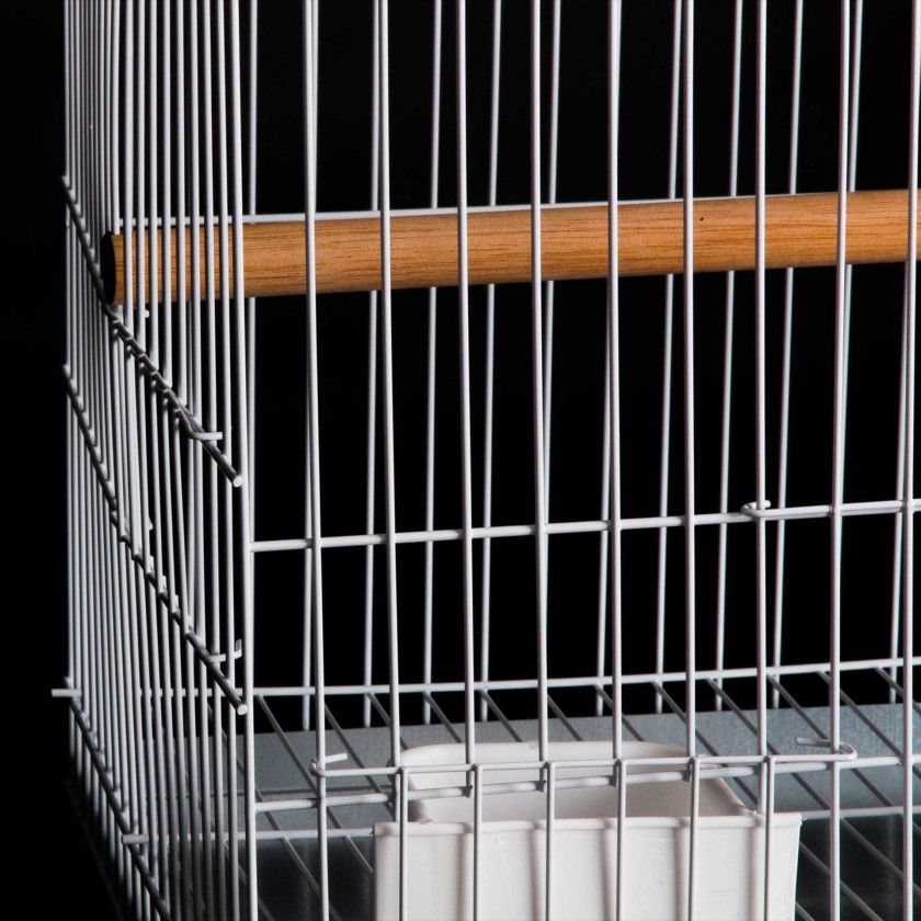 Gaiola Papagaio Quadrada 40X40X54.5CM Gaiola Papagaio Quadrada 40X40X54.5CM