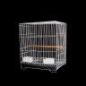 Gaiola Papagaio Quadrada 40X40X54.5CM Gaiola Papagaio Quadrada 40X40X54.5CM