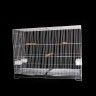 Gaiola Dupla I Plastificada Retangular 92.5X42X68CM Gaiola Dupla I Plastificada Retangular 92.5X42X68CM