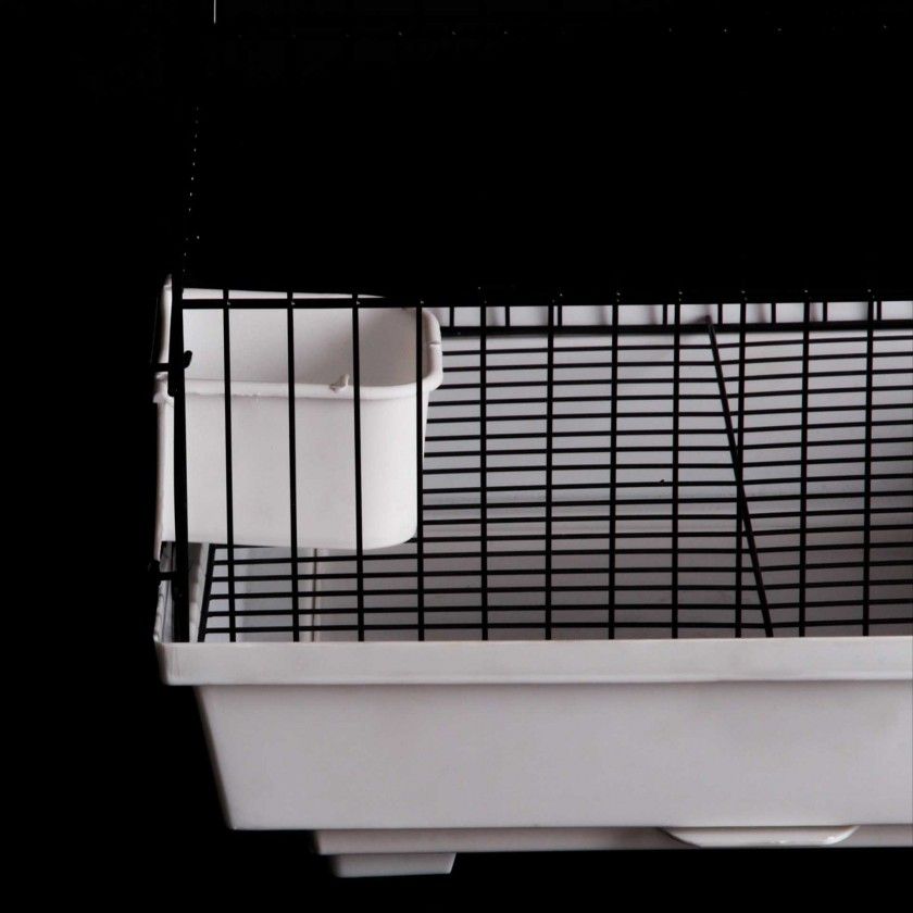 Gaiola Aves Domesticadas 34.5X34.5X48CM