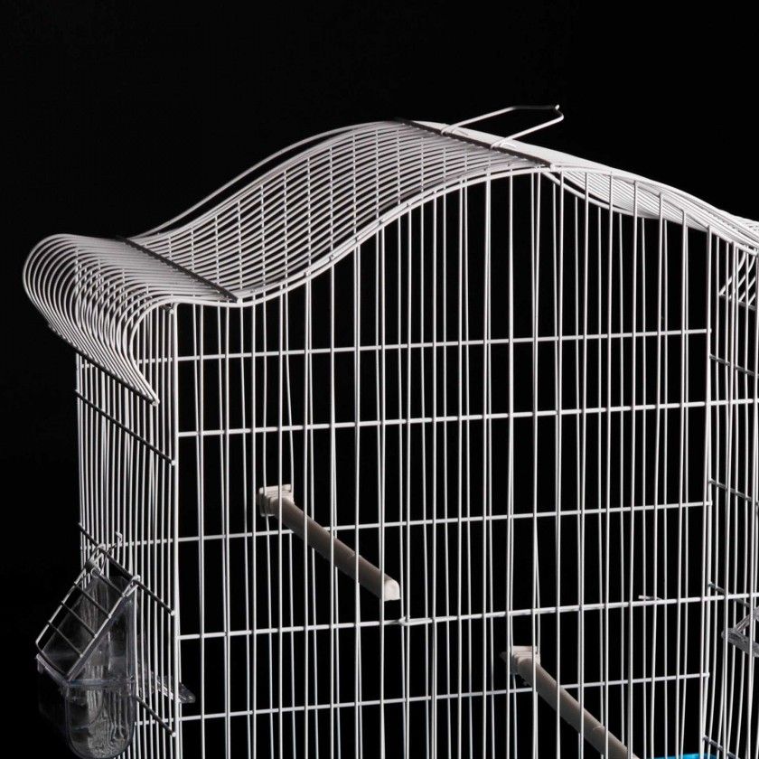 Gaiola Monica II Plastificada 41.5X24.5X46CM Gaiola Monica II Plastificada 41.5X24.5X46CM