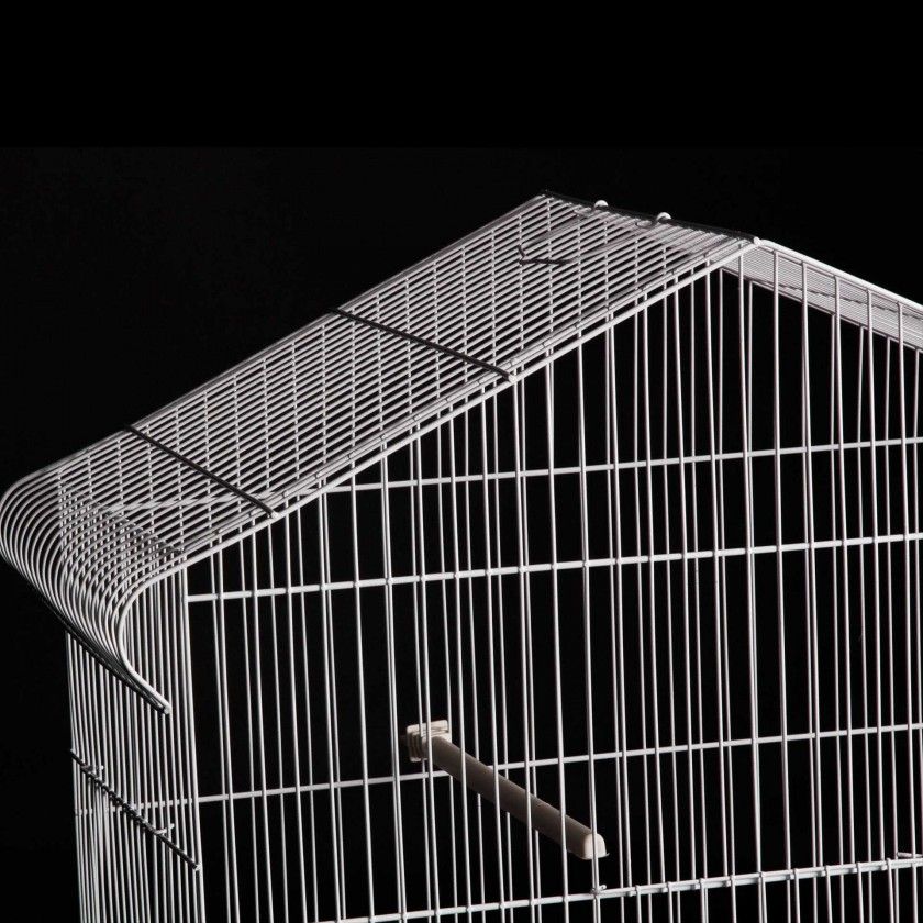 Gaiola Lisboa Plastificada 50X27.5X53.5CM Gaiola Lisboa Plastificada 50X27.5X53.5CM