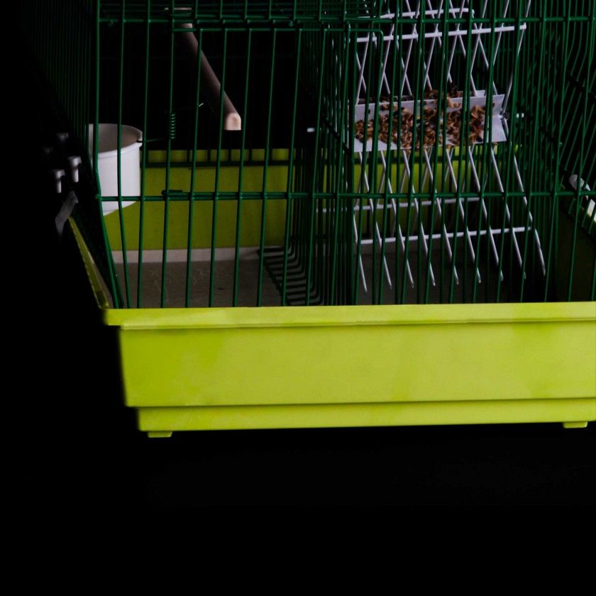 Armadilha com Túnel Quadrada Armadilha com Túnel Quadrada