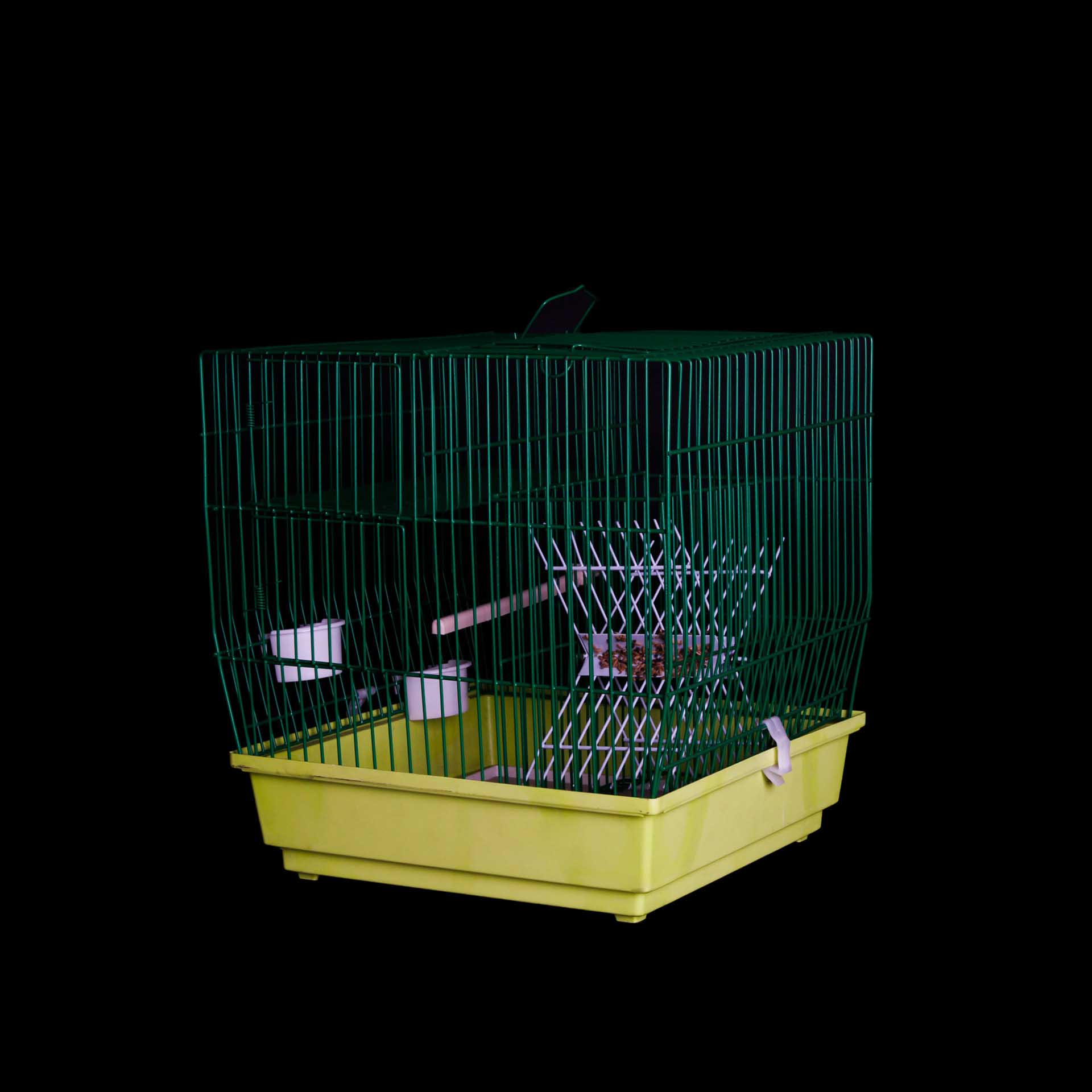 Armadilha com Túnel Quadrada