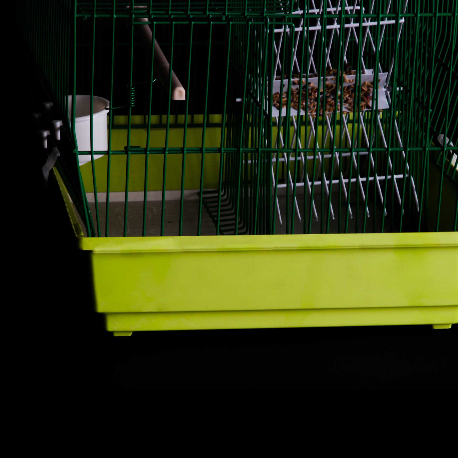 Armadilha com Túnel Quadrada