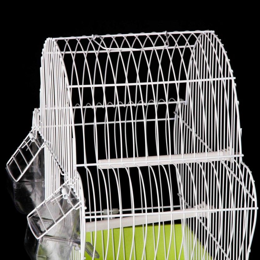 Gaiola Ex�tica Plastificada 37X37.5X19.5CM