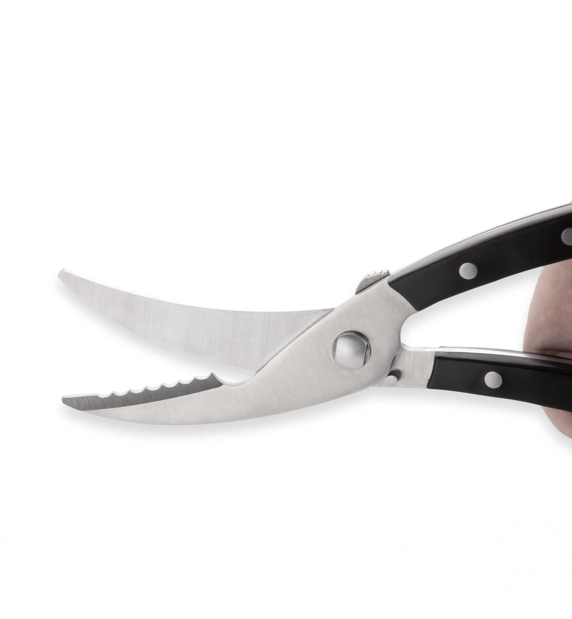 Tesoura Trinchante Azza 25cm