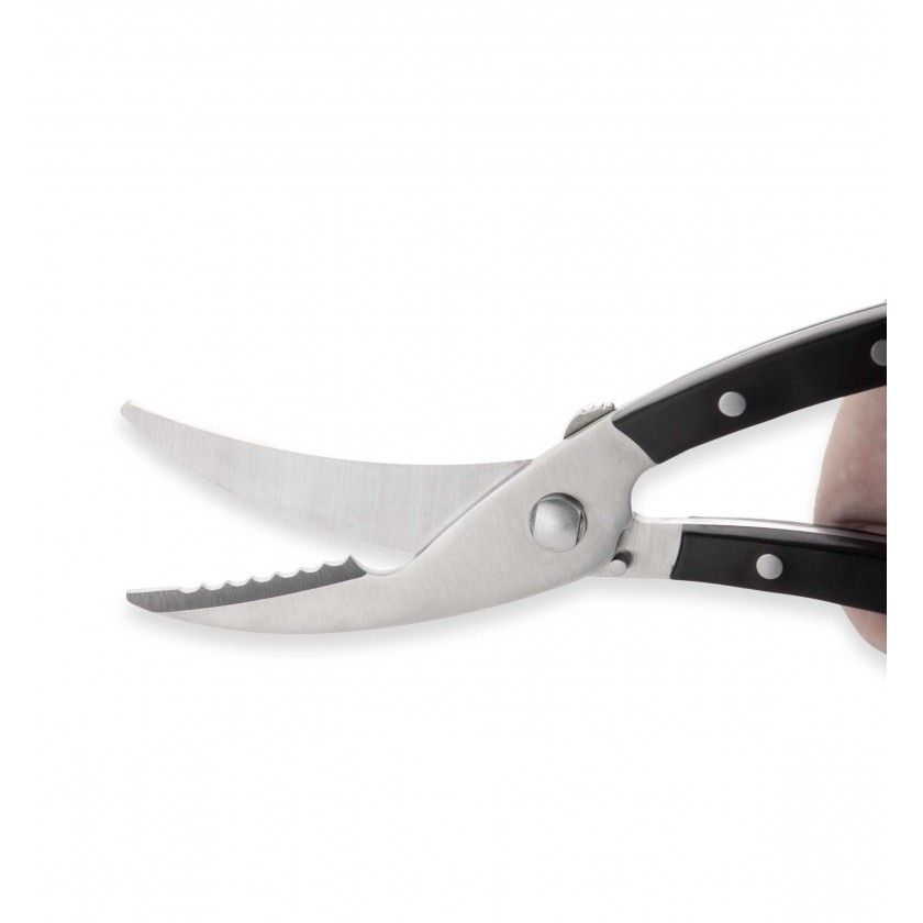 Tesoura Trinchante Azza 25cm