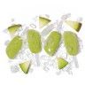 Forma 2 Gelados 2X35ml 12X10X3cm
