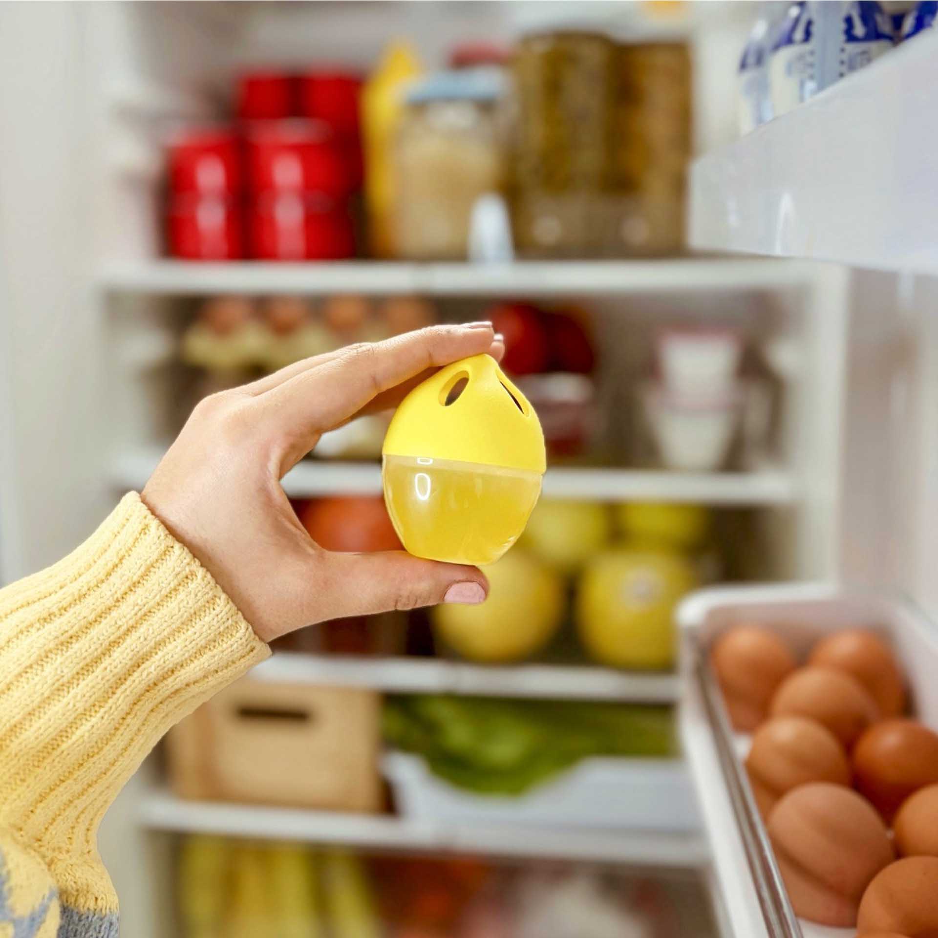 Absorve Odores Frigorífico 30gr