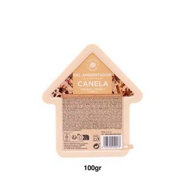 Ambientador Gel 100gr