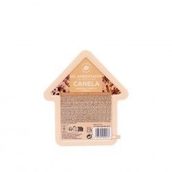 Ambientador Gel 100gr