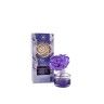 Ambientador Mikado Flor 65ml 9X7X21.5cm Ambientador Mikado Flor 65ml 9X7X21.5cm