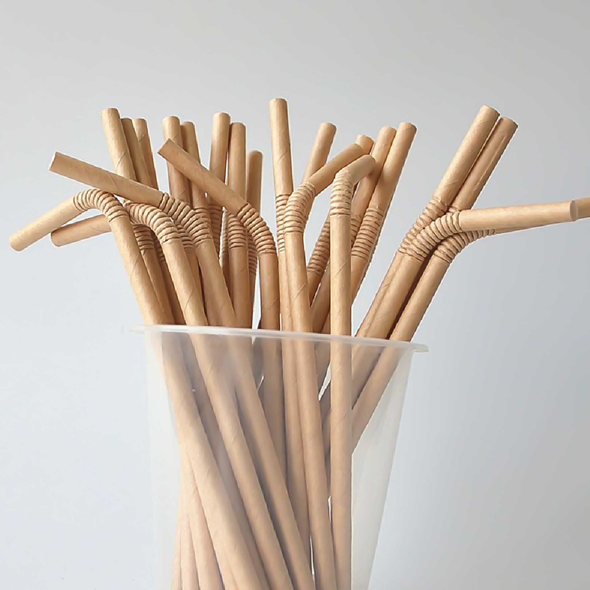Palhinha Cartão Biodegradável Kraft 0.6X19.7cm Pack 50