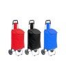 Carro Compras 4 Rodas 60X38X20cm