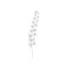 Haste Folhas Prateada 80CM Haste Folhas Prateada 80CM