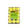 Tealights Citronela 2.5H 10gr 3.8X1.1cm Tealights Citronela 2.5H 10gr 3.8X1.1cm