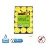 Tealights Citronela 2.5H 10gr 3.8X1.1cm