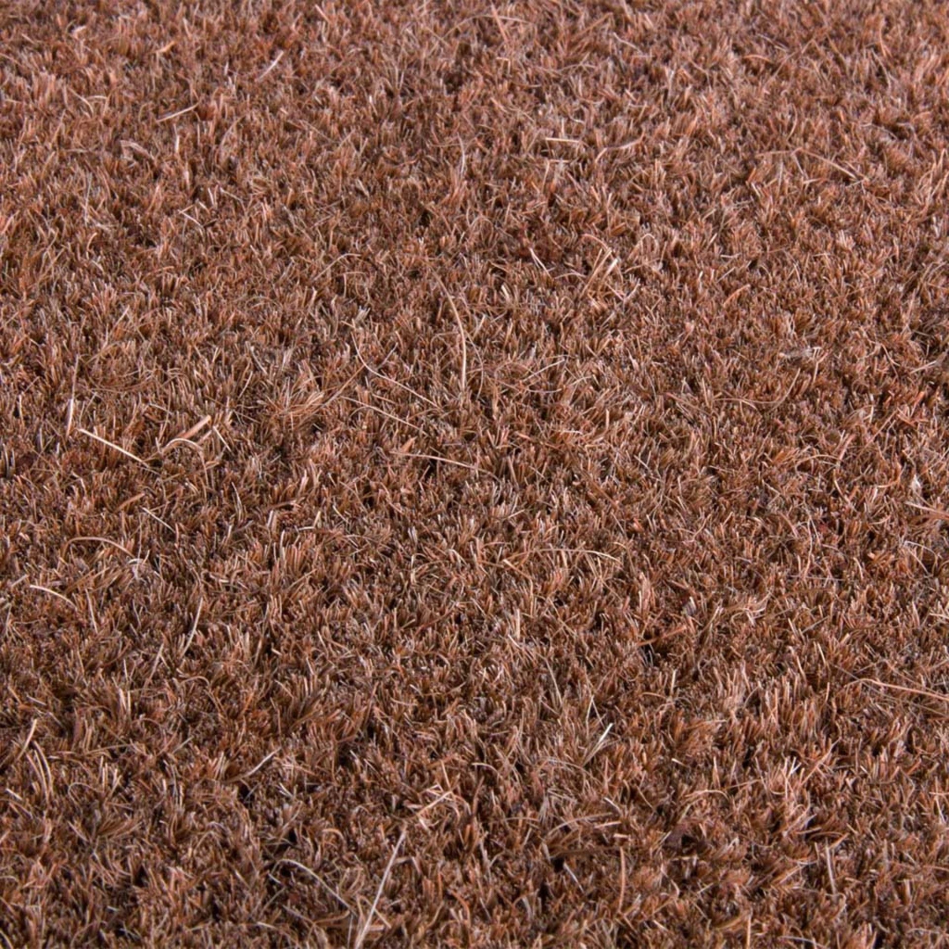 Tapete Entrada Cairo Natural 80X50cm