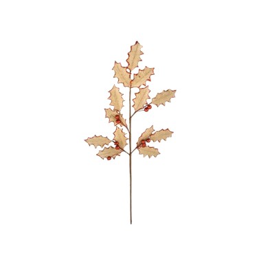 Haste Com Bagas 65CM