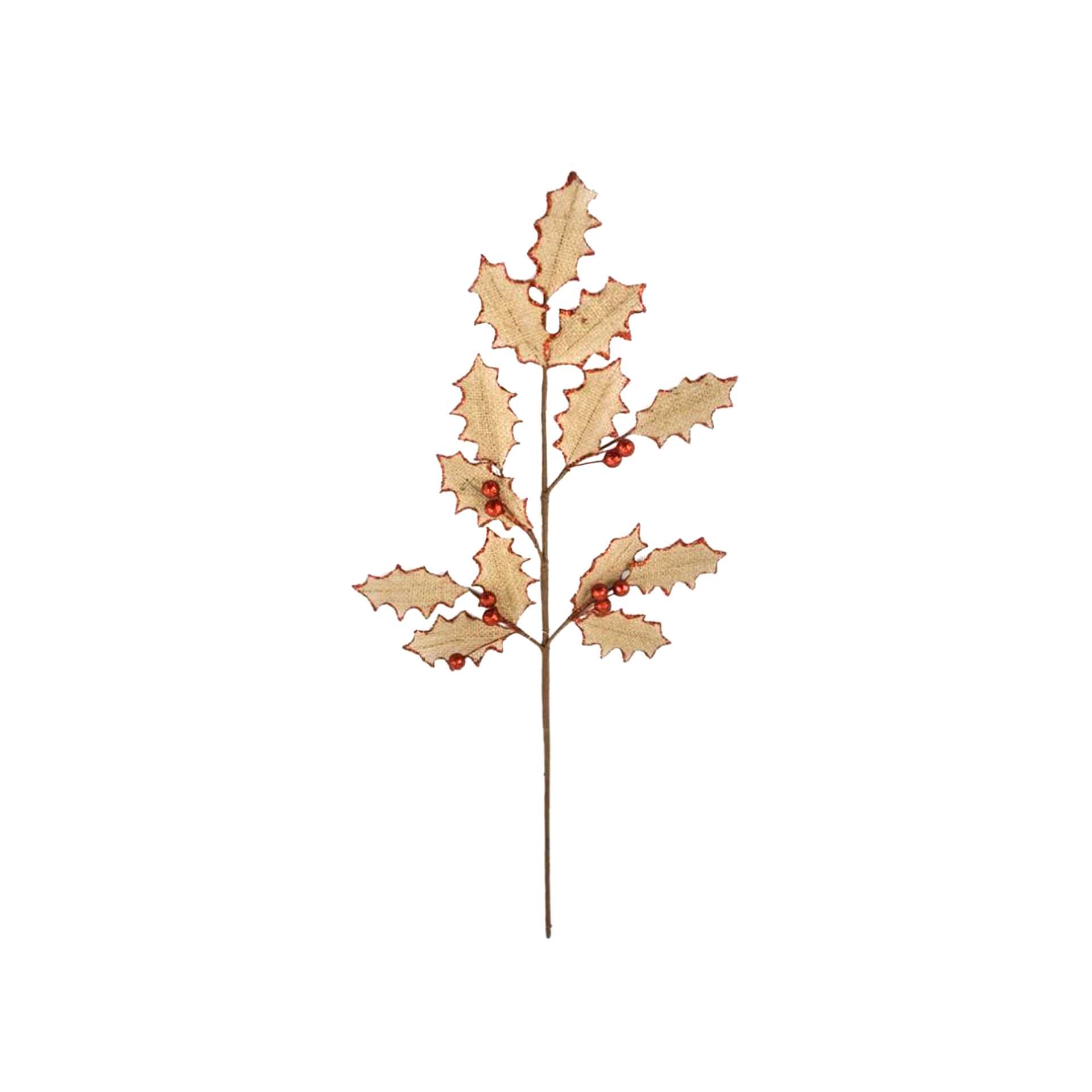 Haste Com Bagas 65CM