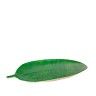 Bandeja Folha Musacea Verde 53X29X3cm Bandeja Folha Musacea Verde 53X29X3cm