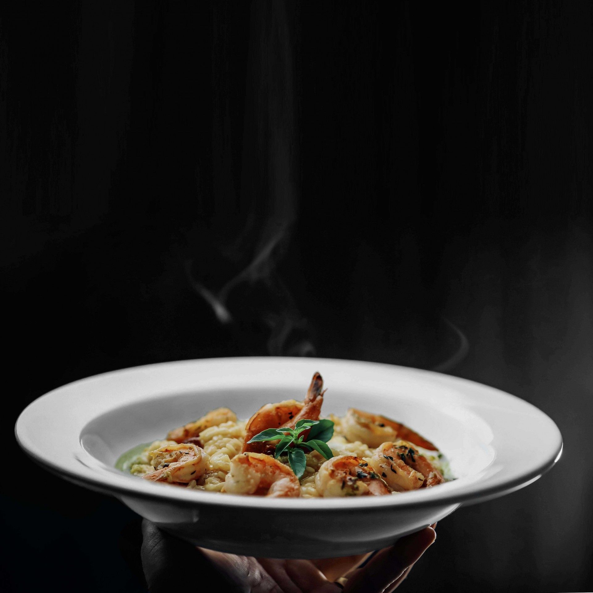 Prato Risotto Porcelana Bordeaux Branco 24X5.2cm