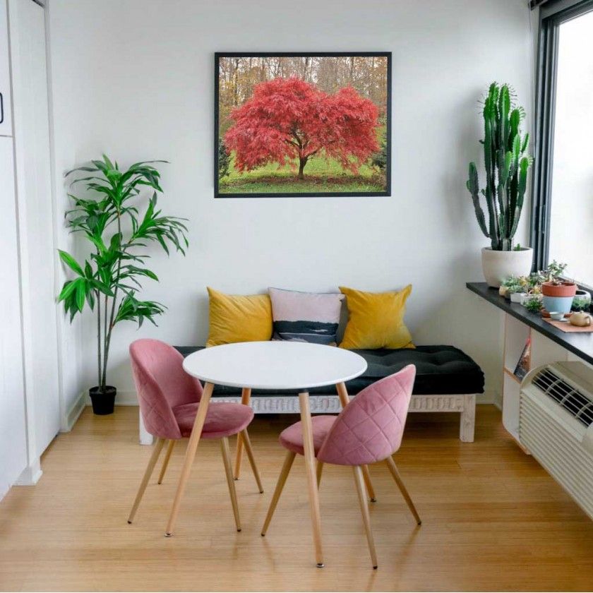 Tela Estampada 100X3X80CM