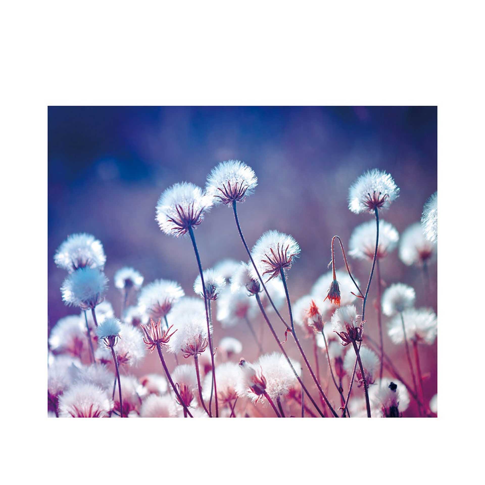 Tela Estampada 100X3X80CM