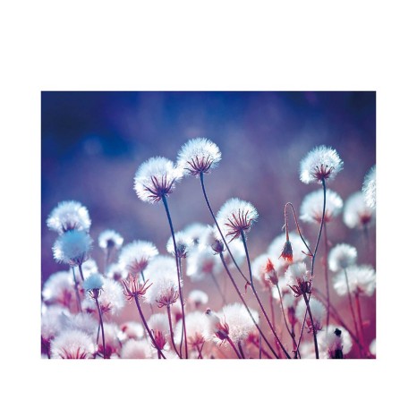 Tela Estampada 100X3X80CM - Image product