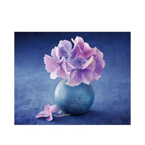 Tela Estampada 100X3X80CM - Image product